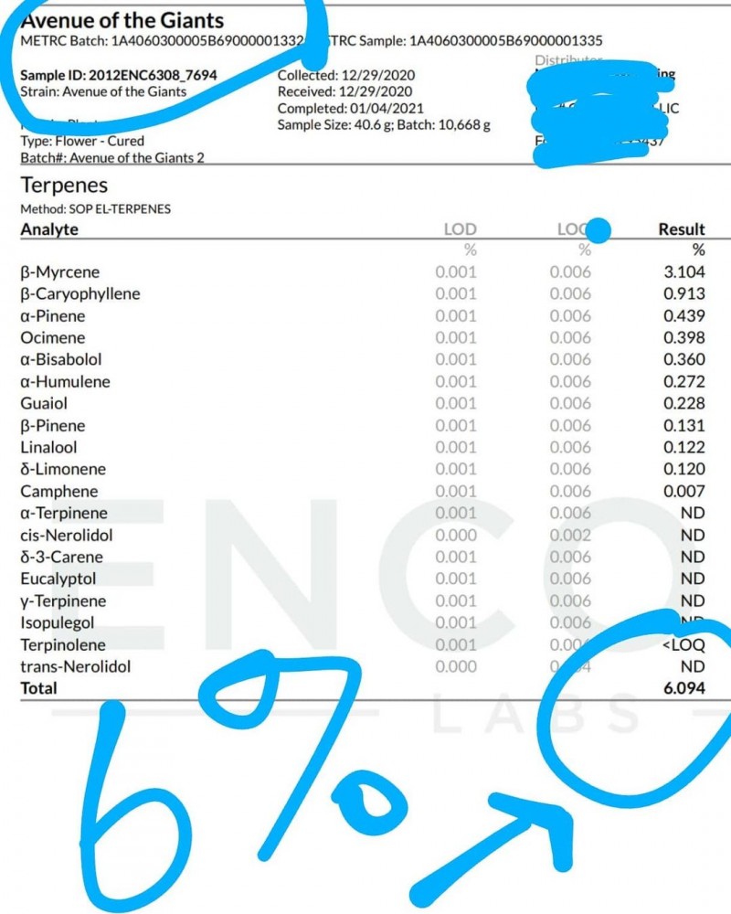 163357662_120946236668071_8384302539916790484_n