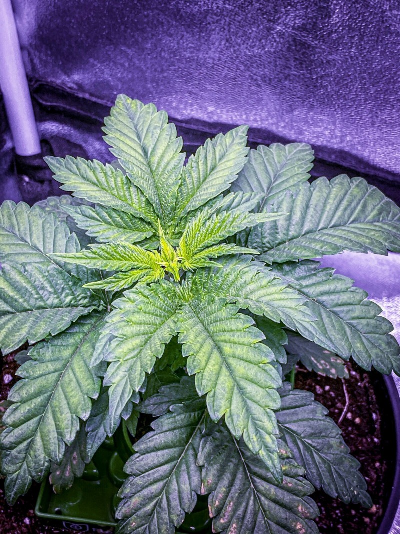 E345025E-6B28-44B2-AAF3-3308A008844A