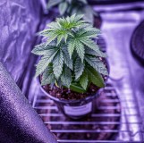 D3685BAF-381E-4699-992D-E5F53643C956