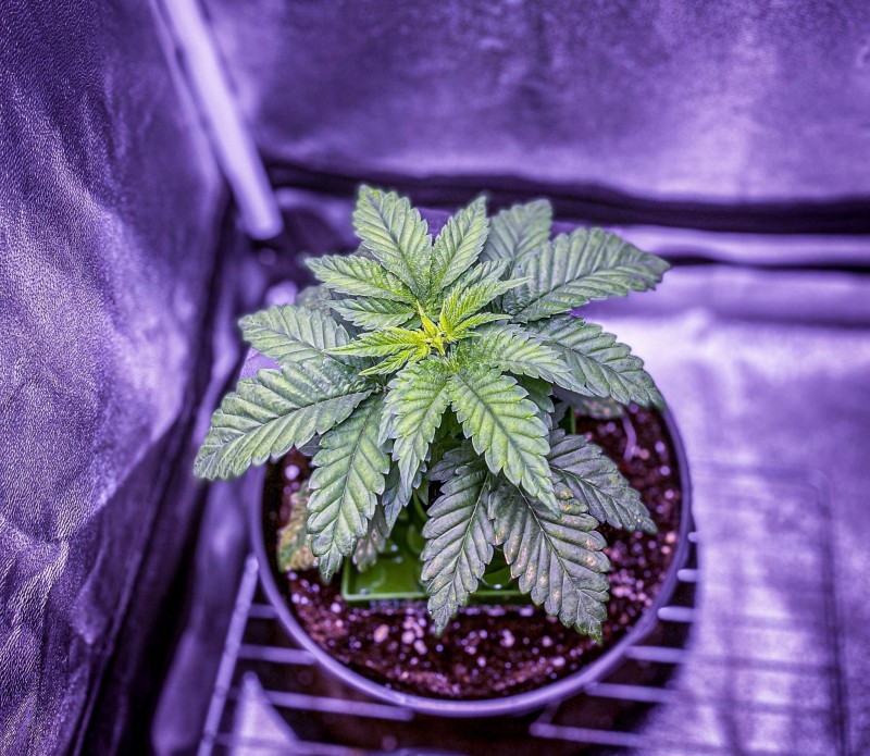 690D2F4A-22A4-4ADF-946A-7D11636FBE7C