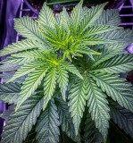 46503F30-2FF7-4641-8EC4-A4795B6BB78E