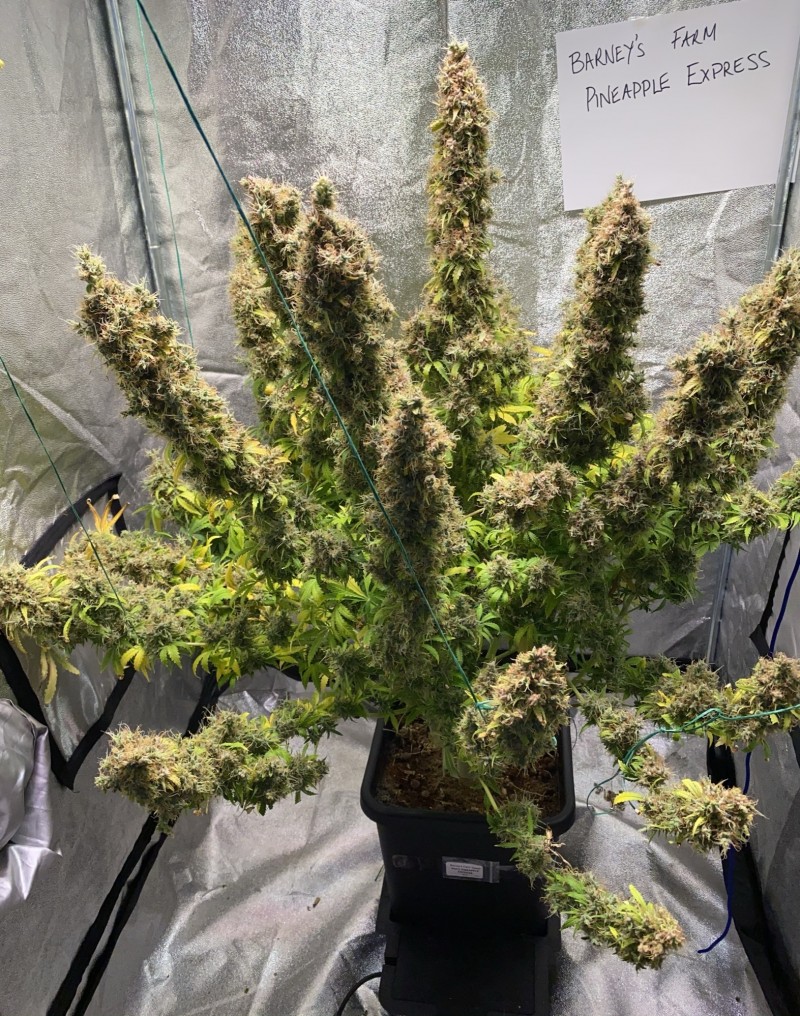 19AA016B-66A7-4020-9A52-610DB4966D64