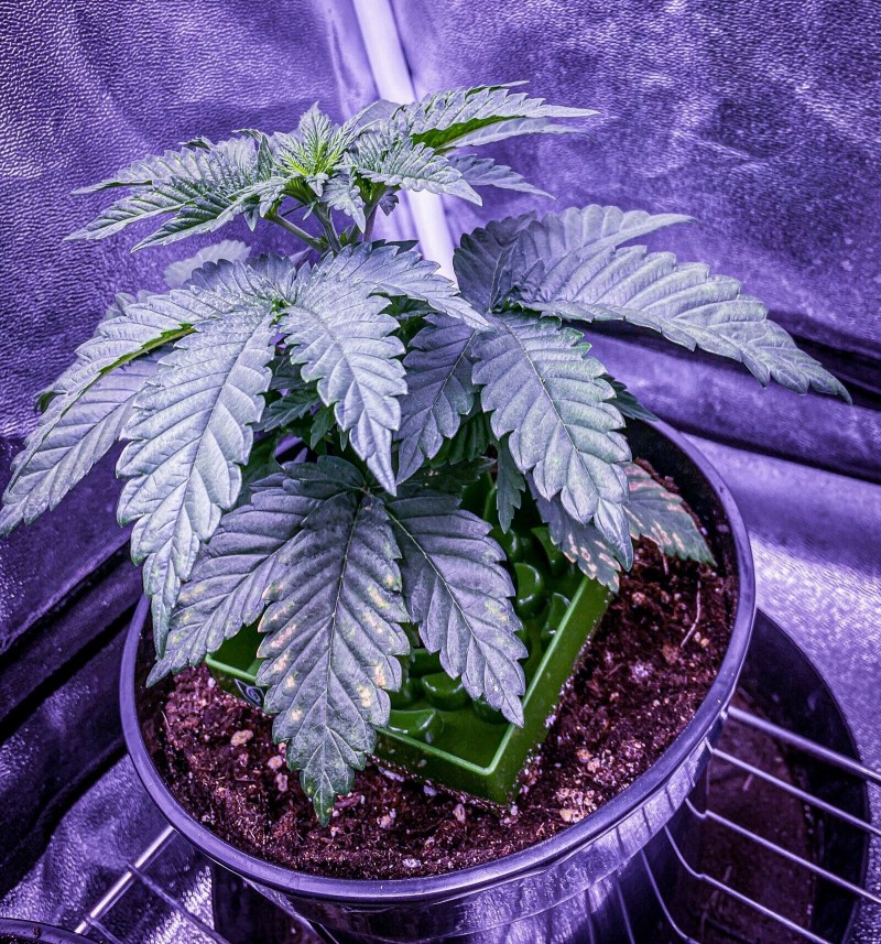 2B881CDE-98BE-4FD1-A545-1AA32500145B