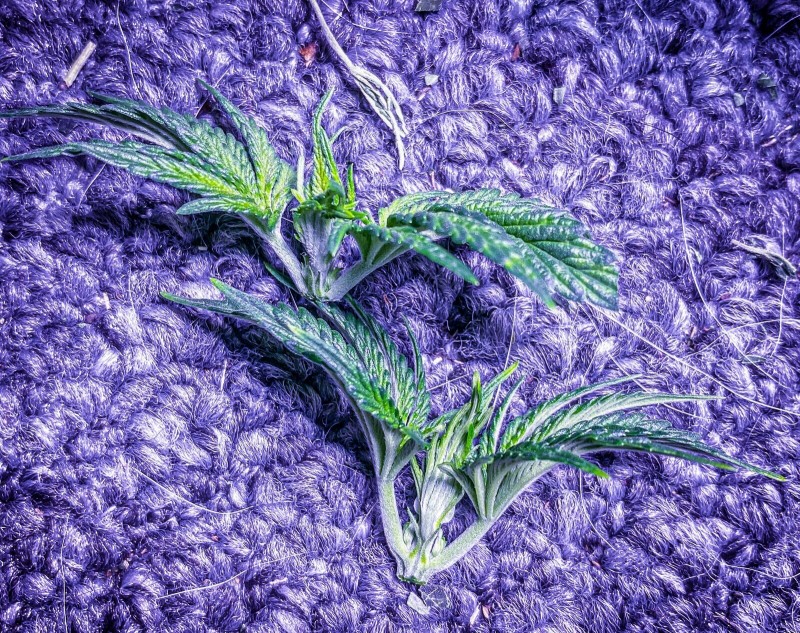 A29FE991-C246-4936-9D15-B91A0AC23533