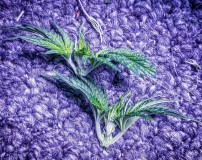 A29FE991-C246-4936-9D15-B91A0AC23533