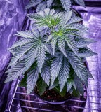 8D43A6CA-B13D-4A49-91A1-47A53E85BBD6