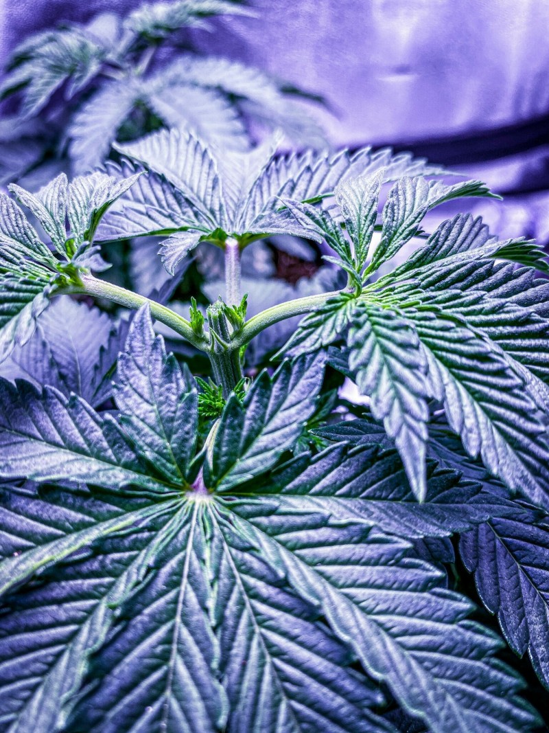 E8C0C195-FDFF-47A7-A729-517793BB98C4