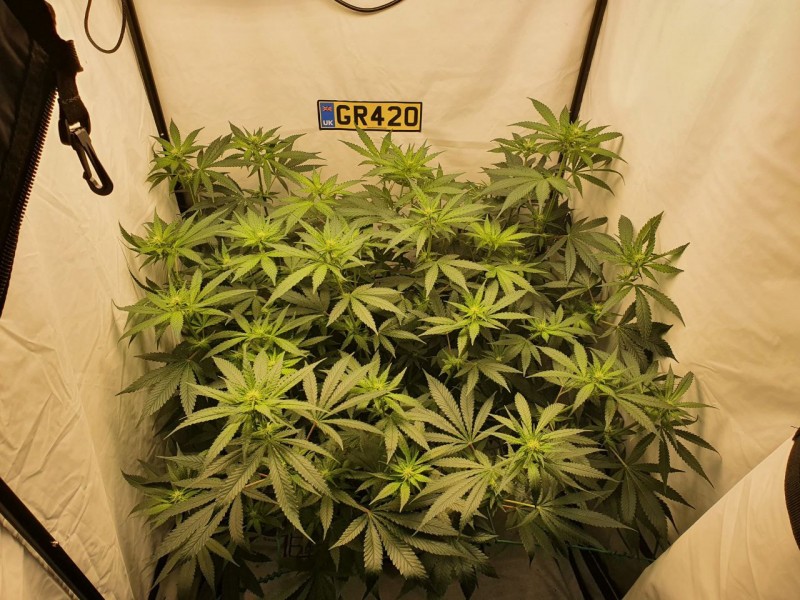 IMG_20210706_180156_638