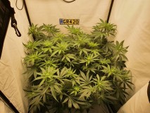 IMG_20210706_180156_638