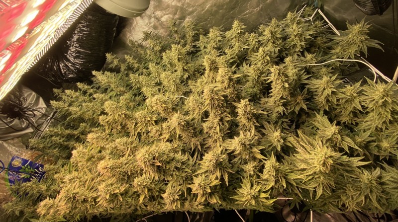 C84FC2E8-4E95-48D2-B862-35FE14D17F94