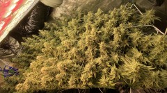 C84FC2E8-4E95-48D2-B862-35FE14D17F94