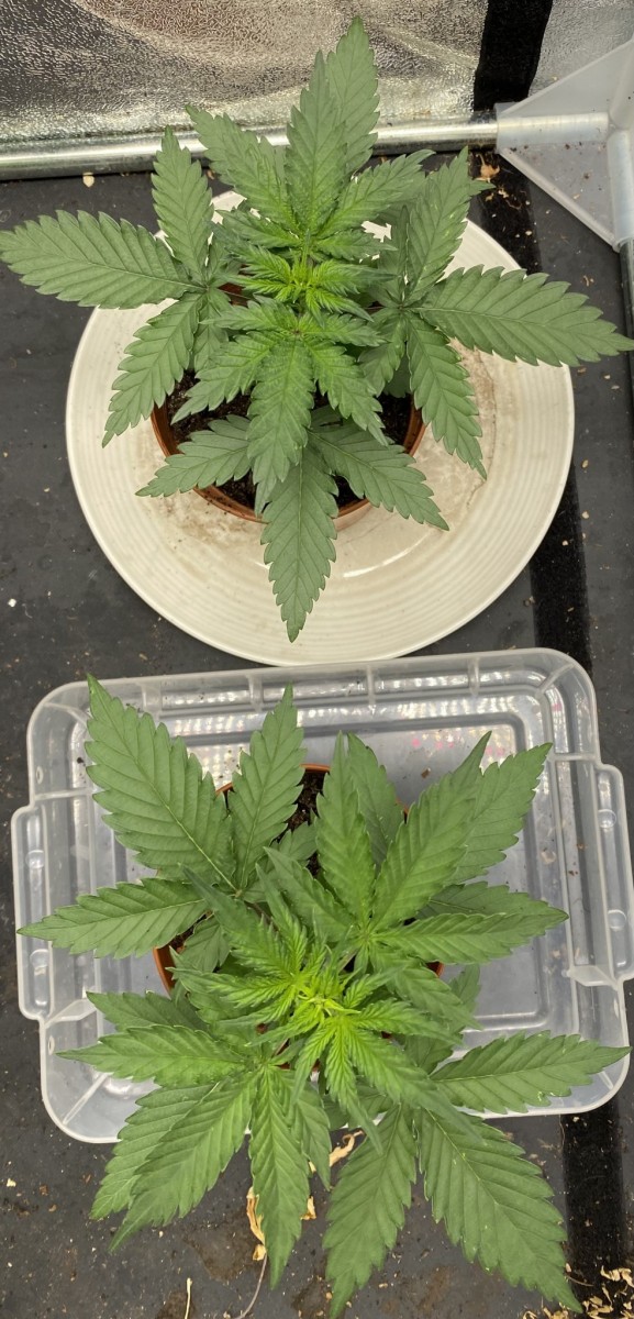 6A9F75B2-60FD-4D9A-8DF7-2069E1003A05