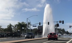 F3C50CAE-DB96-4758-99B3-CD98B4EEA58A