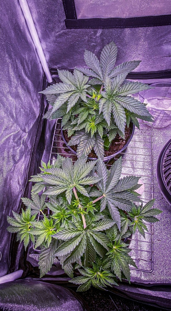 BFC854A8-DE61-40BC-AA98-992D576120BF