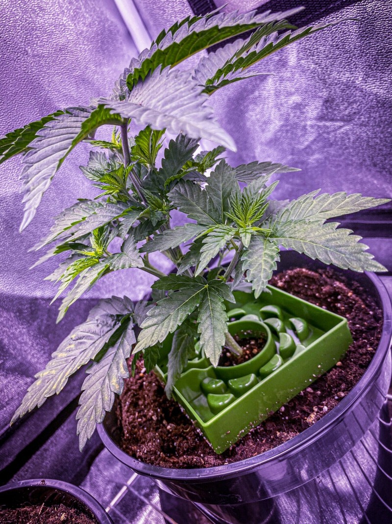 AC0BF6B9-A9AE-484B-AEB3-688F29F7291C