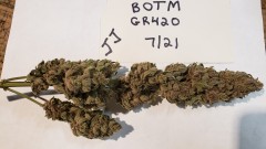 16257691749398726201852269402291