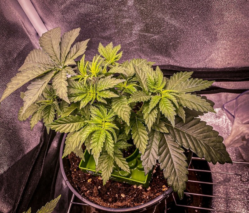 3981A5D3-9536-4552-8F05-858B590C7959