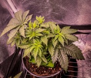 3981A5D3-9536-4552-8F05-858B590C7959