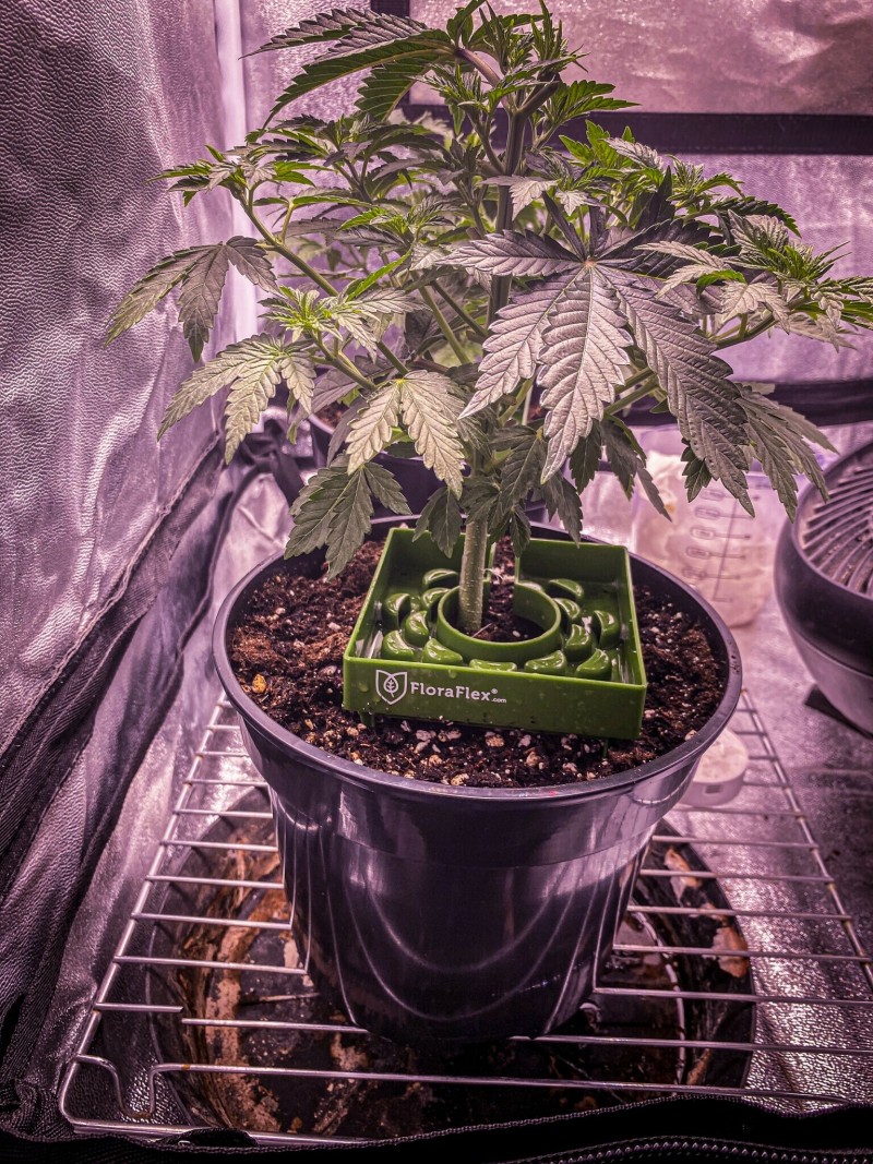 E13BE17A-C8A2-4005-B973-3EAD7BE2E286