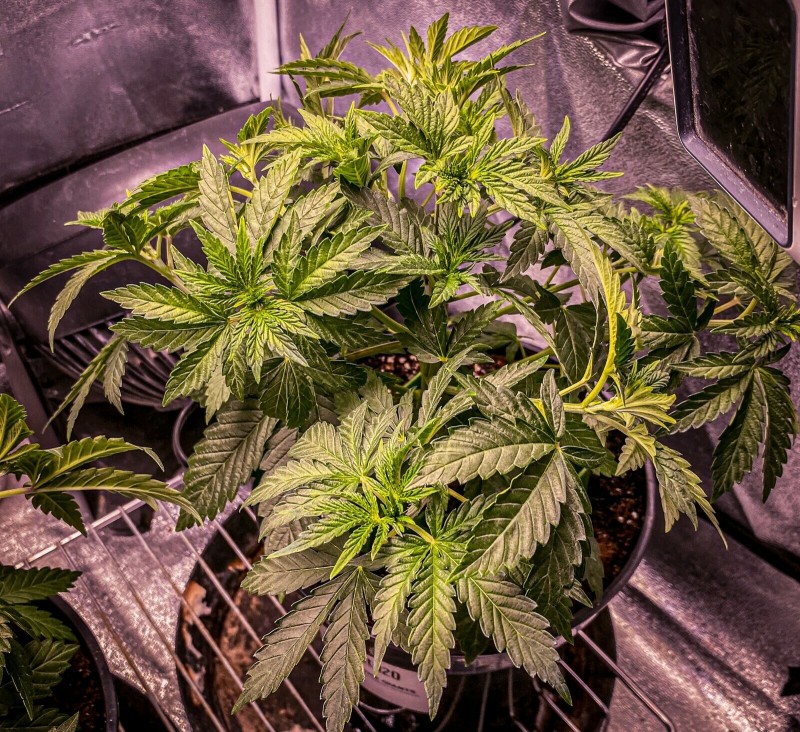 98F29C50-3A4C-40C1-A16B-335549725A35