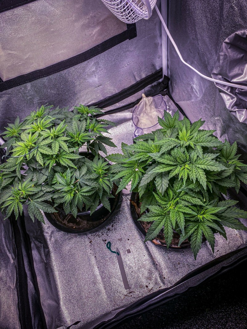 DB1D26F7-44AE-4EE8-9ABC-292153A1A9B7