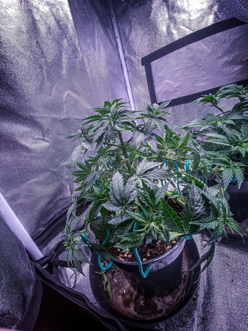 A2013BE6-B3E5-49A6-8401-6BF9424E9102