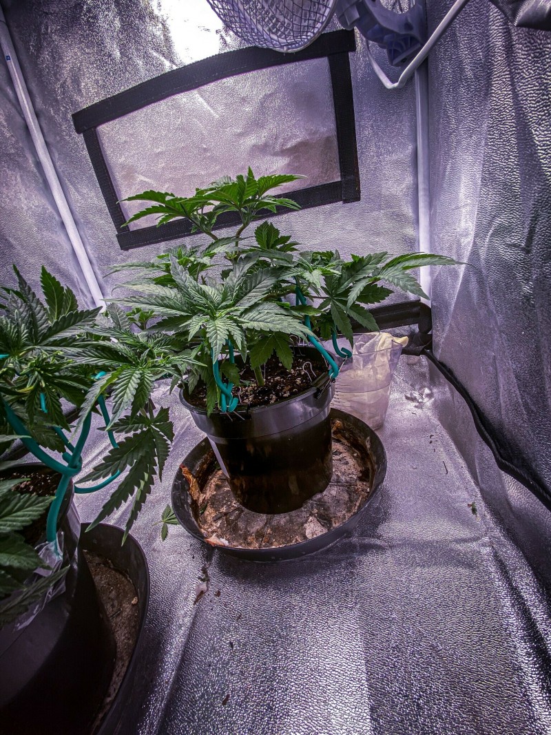 F7C66526-936C-40B5-A6A9-D22EBFD1113A