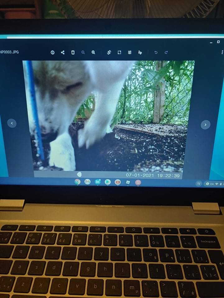 received_252316196705204