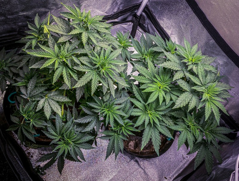 20509DE7-2640-4B15-891F-91F20EC502DA