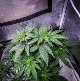 340B4995-0234-47F8-A387-563491C2AE31