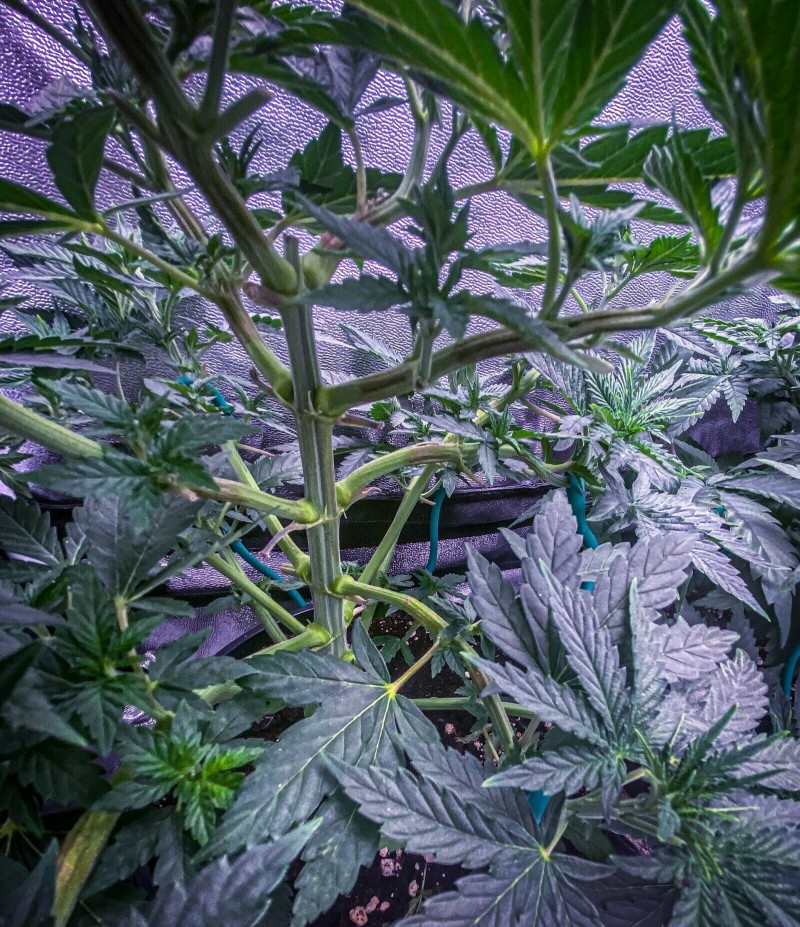 950F22F2-0094-4C02-8C1F-19C8EBC954D1