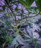 950F22F2-0094-4C02-8C1F-19C8EBC954D1