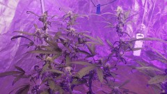 16267442274328560655382854113978