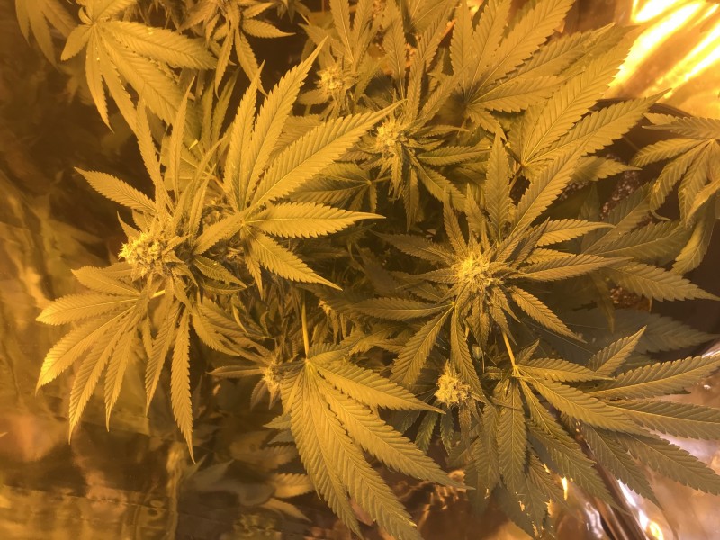 01BA1E8B-A968-42EC-80B1-0F4CED75D8F9