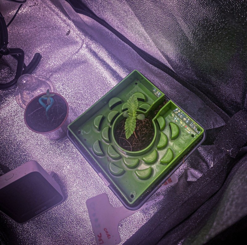 2604102E-DC21-4D34-8FD4-8435C944FCB3