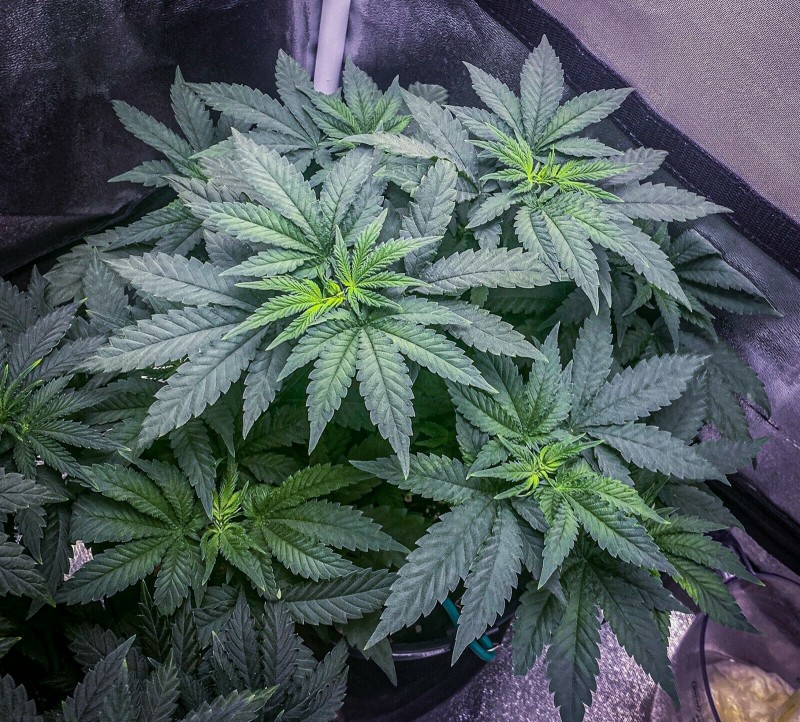 D5EC3E41-8566-44C9-A364-39342B651174