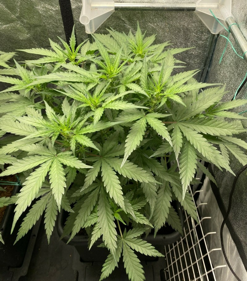 204F1AA4-9A70-4091-8AAC-02C68085C2EF