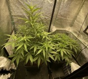 9B848F69-3CC5-440B-9D32-0EDDF95BCBC7