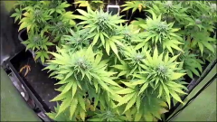 4121B676-CD0E-45EB-9DAA-8BE669E2E751