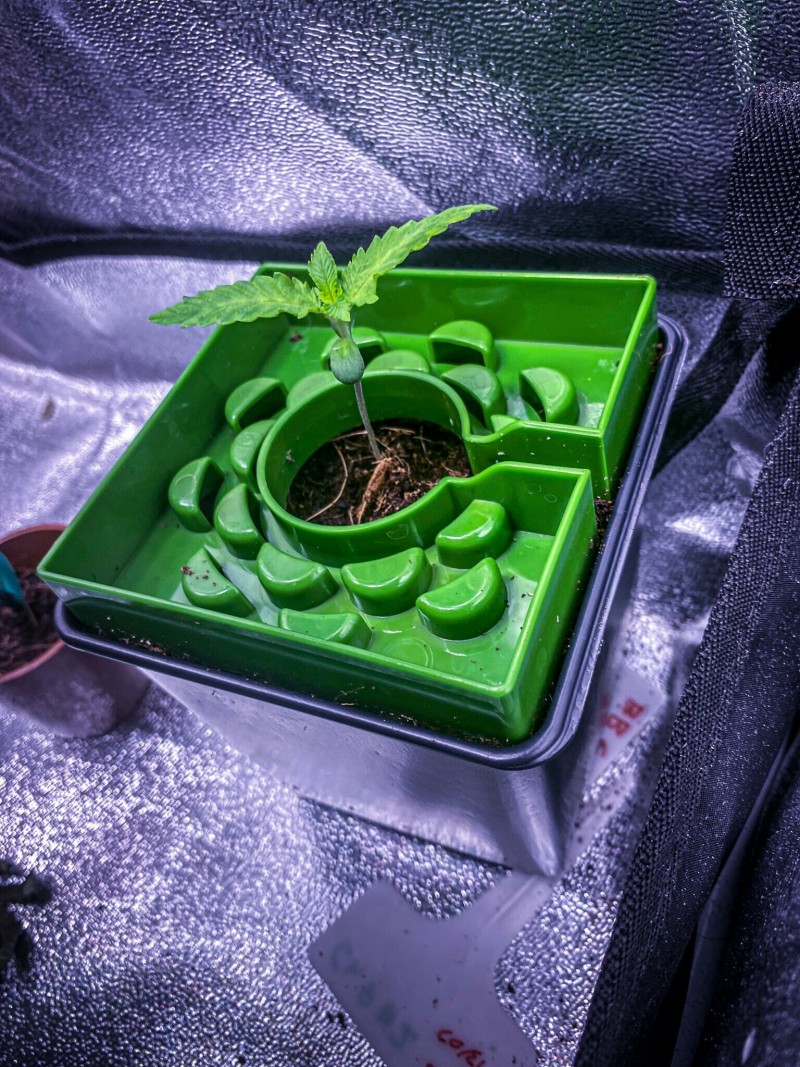 37259464-A08C-4F8F-9FA7-2743A39C2810