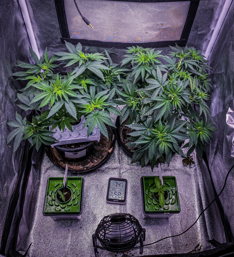 7D3DF5BA-5A99-4F32-81B8-756C4E5D0B87