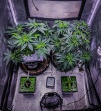 7D3DF5BA-5A99-4F32-81B8-756C4E5D0B87