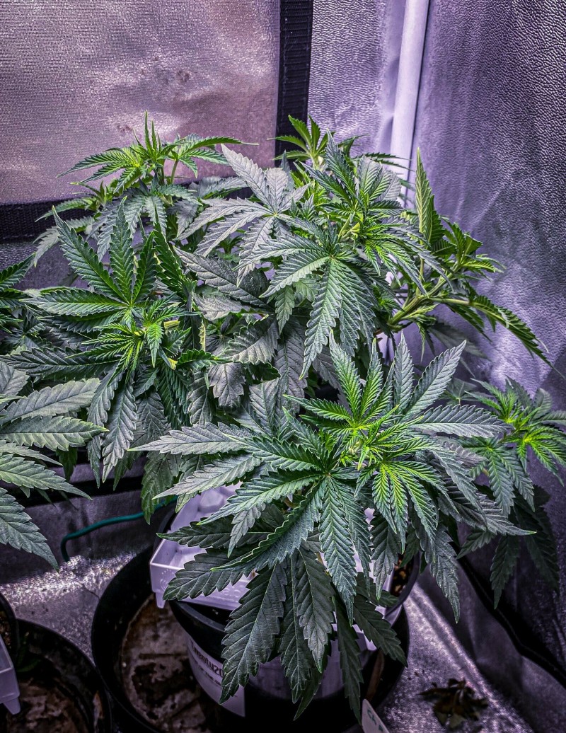 D013E5EB-0631-4059-8740-A96C8A7E3682