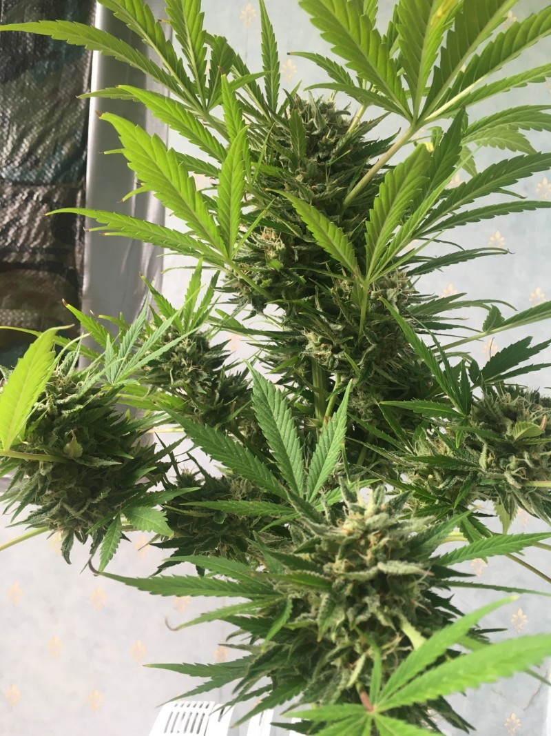 DD6D04CC-5565-4AA9-B8A7-276FBB77AEE5