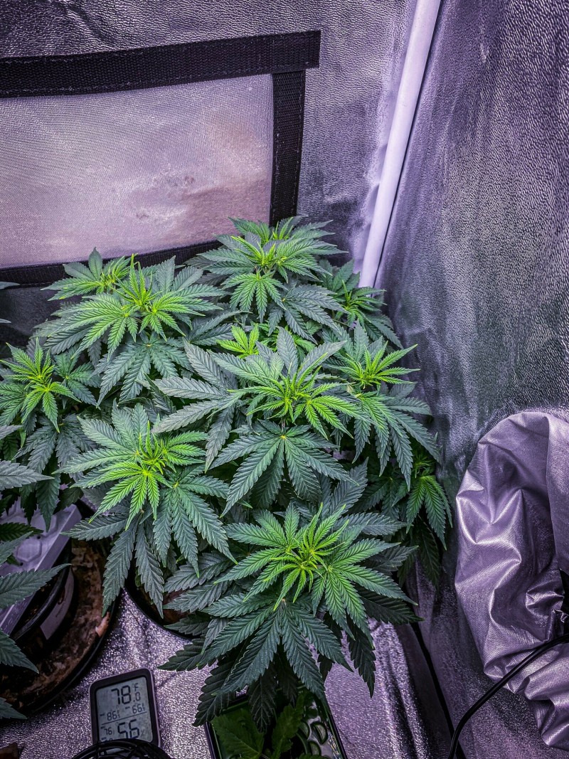 053BBB06-1C83-42F9-8B8E-4EE94B4DCC56