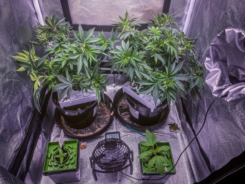 CFCF3AC2-49EA-4D5D-B57F-8F75F9F5487C