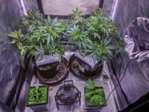 CFCF3AC2-49EA-4D5D-B57F-8F75F9F5487C