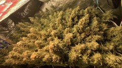 A05F4CDA-2A6B-489A-98C8-25DFF5C6D97A