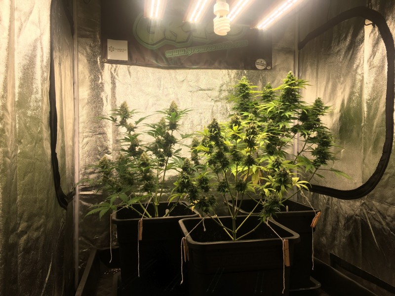 135C616F-0C57-48BB-AB6F-0B9DF458C2E9