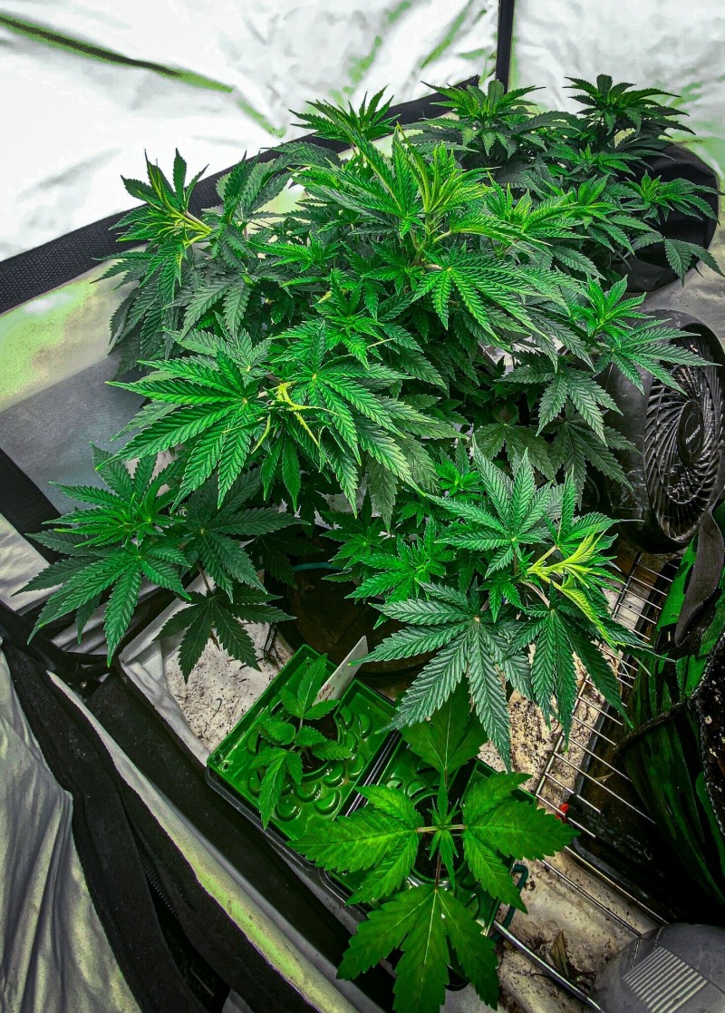 AACE4A7A-A1B1-4D41-B300-EC6997571E0D